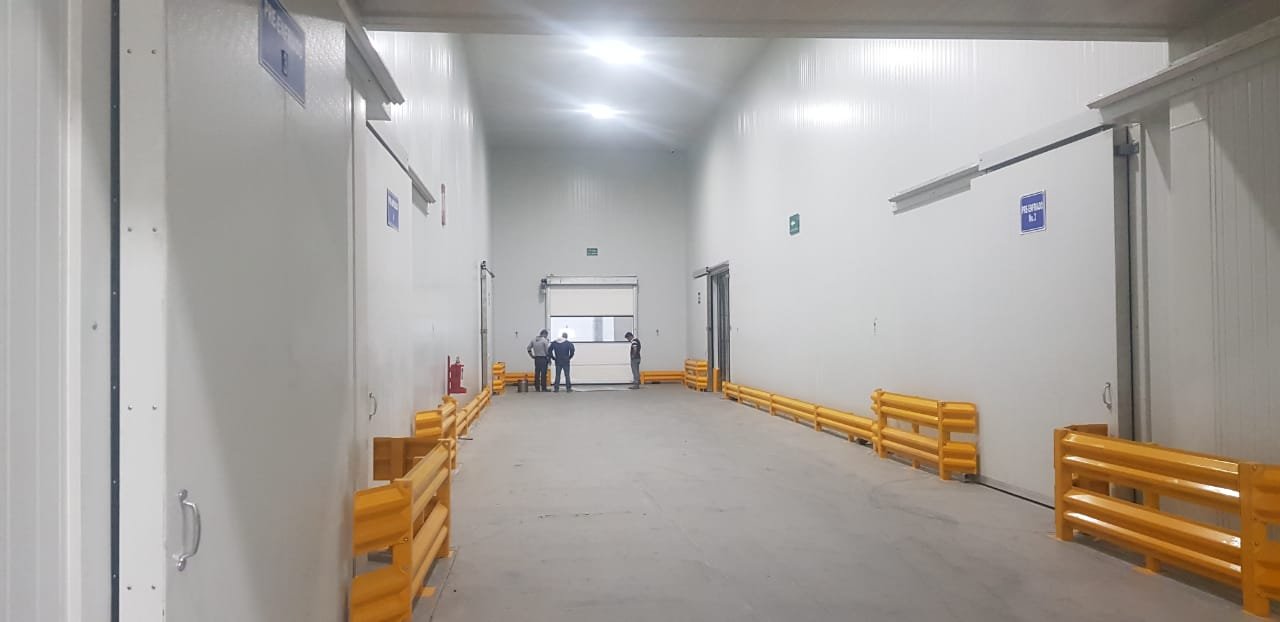 whatsapp image 2026 01 18 at 5.00.10 pm