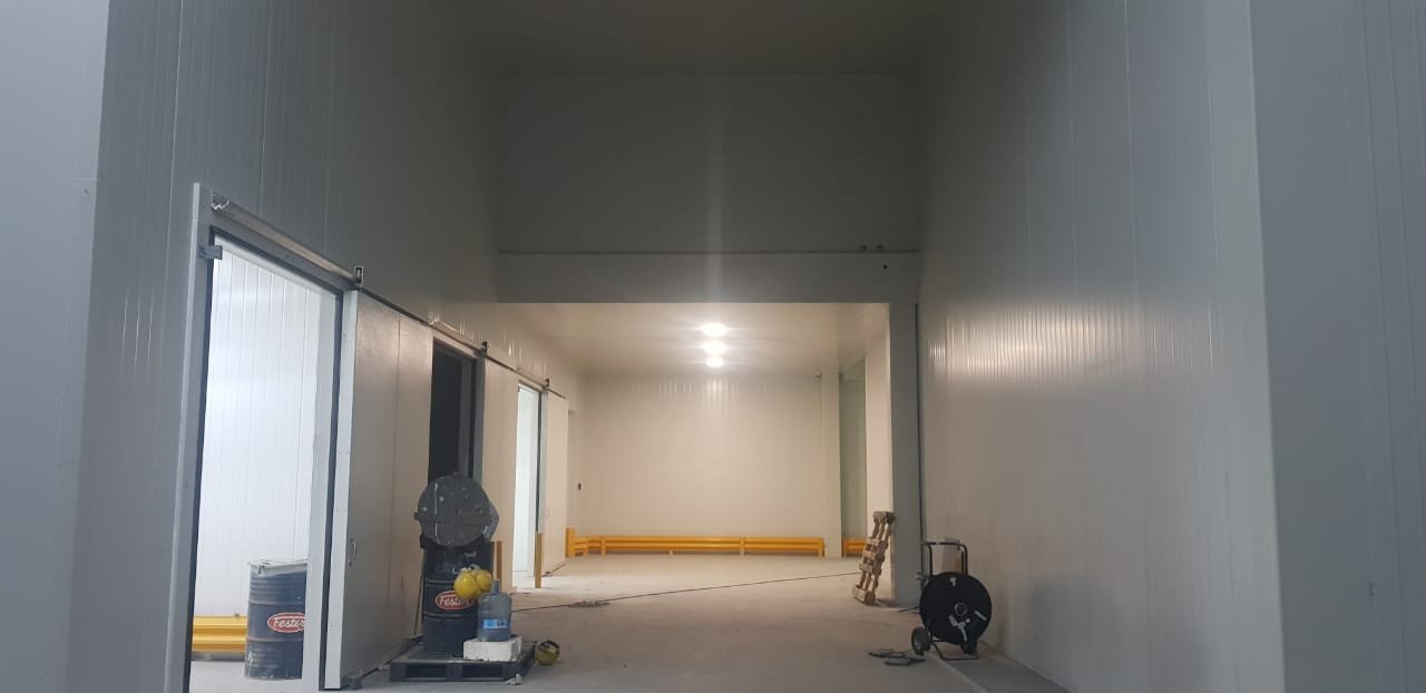 whatsapp image 2026 01 18 at 5.00.12 pm (1)