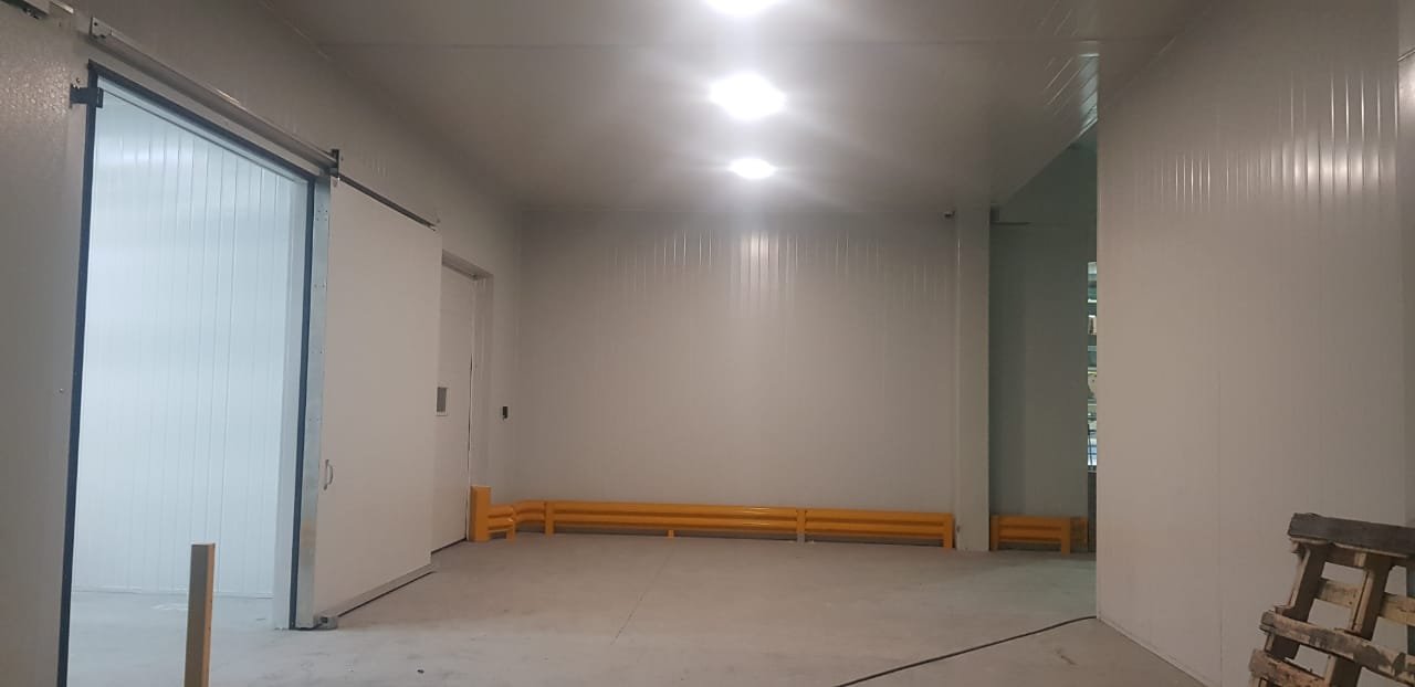 whatsapp image 2026 01 18 at 5.00.12 pm