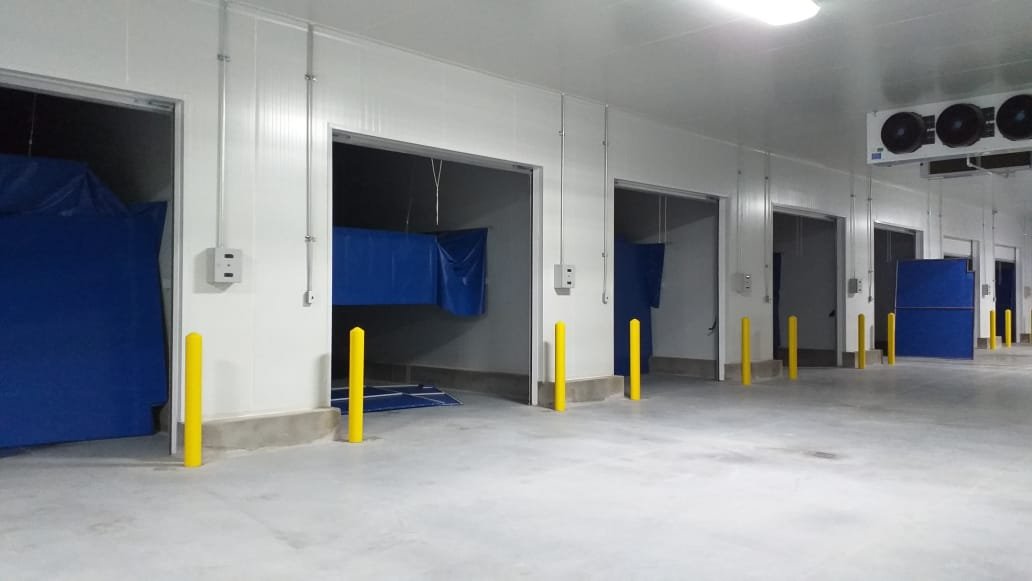 whatsapp image 2026 01 18 at 5.00.15 pm (6)