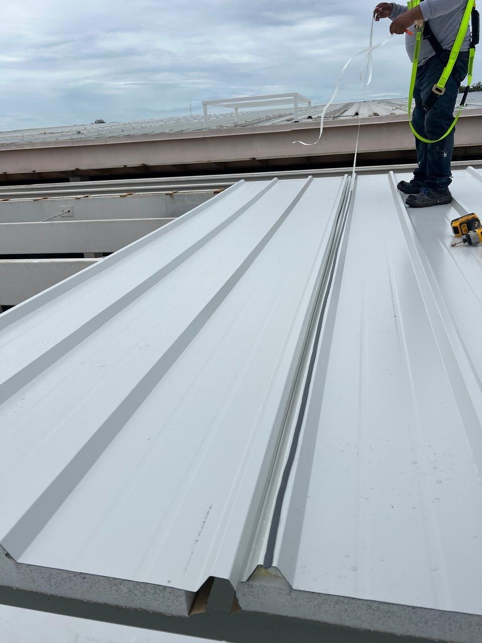 whatsapp image 2026 01 18 at 6.28.40 pm